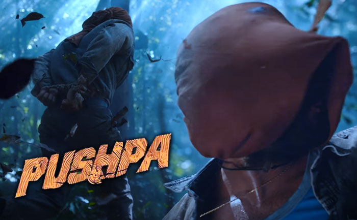 prelude to pushpa raj teaser out