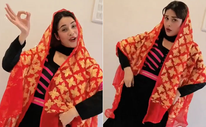 Shehnaaz Gill Dance Video