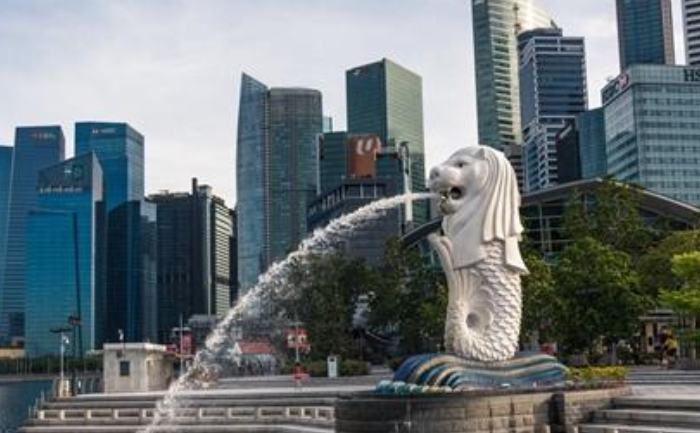 Coronavirus mutation, New variant, Singapore