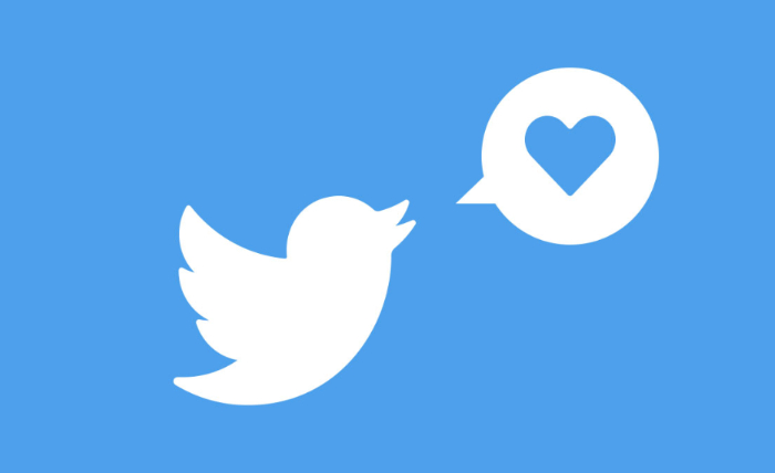 Twitter India, New IT regulation
