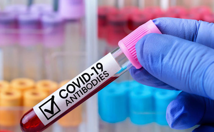 serp survey two third indian covid antibodies