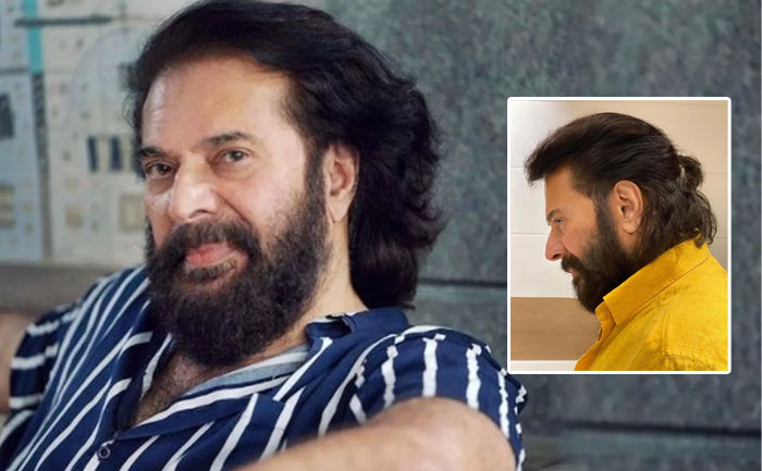 mammootty pony tail pic viral