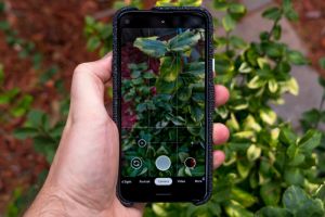 How to take professional photographs, mobile camera, step by step guide phone photography