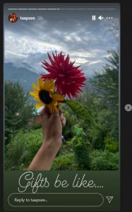 Taapsee Pannu Birthday Celebrations 