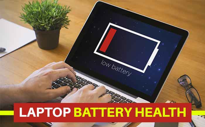 how to check what battery your laptop has