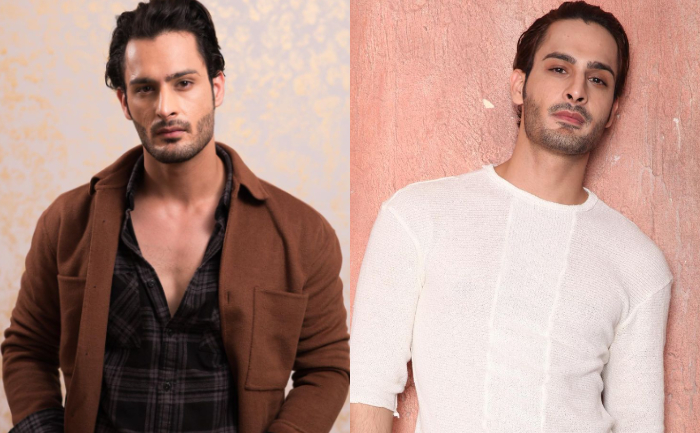 Bigg Boss 15, Umar Riaz