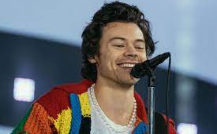 harry styles watermelon sugar meaning