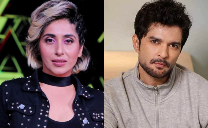 Bigg Boss 15, Neha Bhasin, Raqesh Bapat